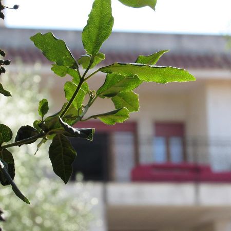 Villa Il Giovane Alloro Martina Franca Eksteriør billede