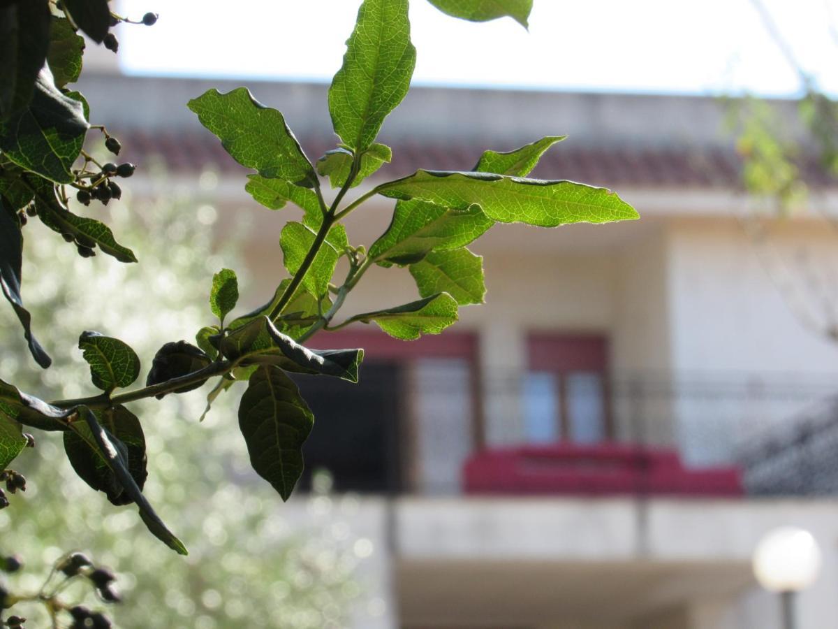 Villa Il Giovane Alloro Martina Franca Eksteriør billede